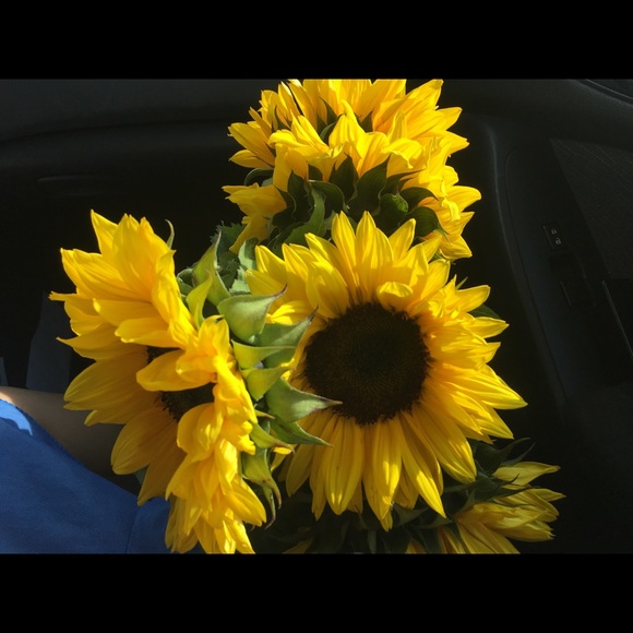 Meet your Posher, Savannah - Picture 1 of 1